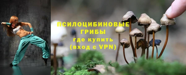 амф Медвежьегорск