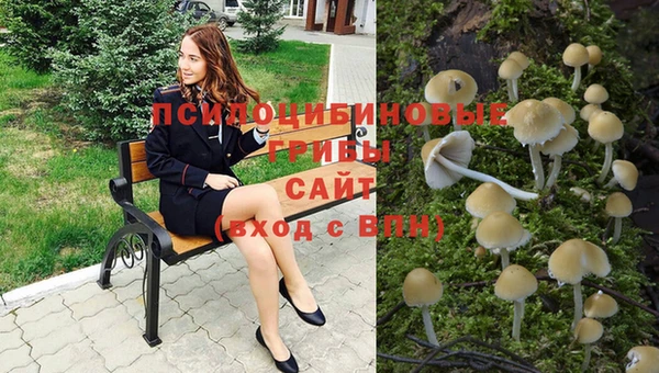 ECSTASY Михайловск