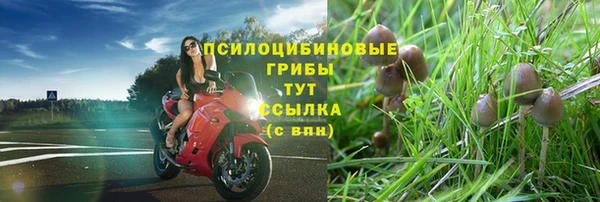 кокаин колумбия Михайлов